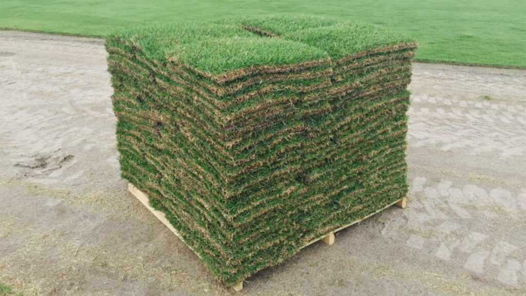 bermuda-pallet-metro-turf-landscape-supply