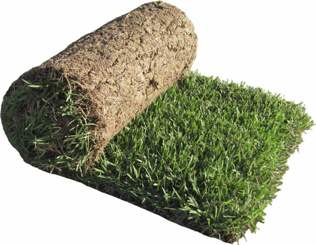 Zoysia Sod Roll 10 Sq Ft Metro Turf Landscape Supply zoysia-sod-roll-10-sq-ft-metro-turf-landscape-supply